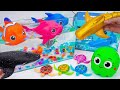 🦈Toy ASMR🦈Baby Shark &amp; RC Gold Shark &amp; RC Nino Fish &amp; Aquarium Toys 🌟 Review Toys