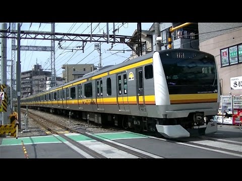 JR南武線E233系N5編成各停川崎行き 向河原駅入線