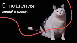 картинка: Женя Тимонова — Человек и кошка в XXI веке
