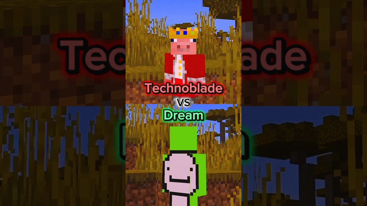 Technoblade VS Dream