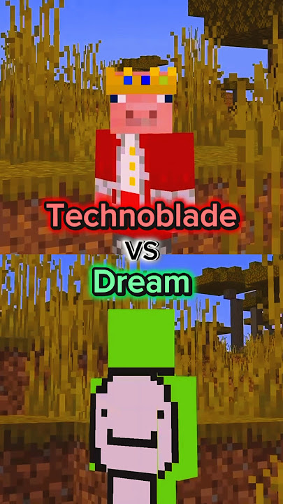 Technoblade VS Dream