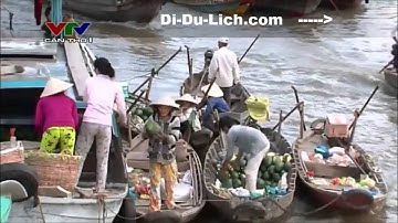 Tham Quan 3 Chợ nổi miền tây  Cái Răng   Phong Điền & Cái Bè Tiền Giang