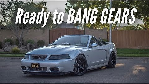 My 2003 Cobra  Terminator FINALLY Gets a NEW TRANSMISSION