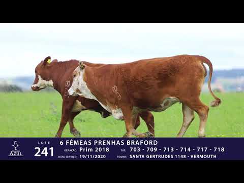 LOTE 241 - TAT 703, 709, 713, 714, 717, 718