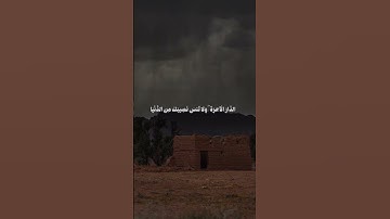 #عبدالبديع_غيلان #quran #تلاوة_خاشعة #قران_كريم #سورة_القصص #اكسبلورexplore #المصحف