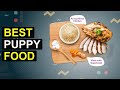 Top 5 Best Puppy Food | Top-Rated Puppy Food