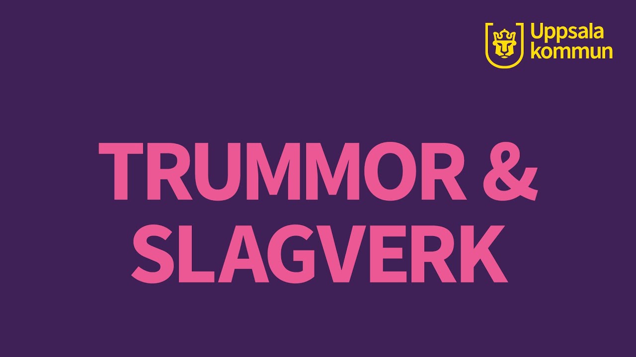 Trummor & slagverk