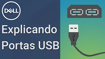 Para que serve a entrada SS?