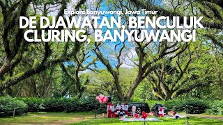 De Djawatan, Benculuk | Bak di Negeri Dongeng tapi ini di Banyuwangi #banyuwangi #wisatabanyuwangi