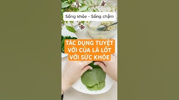 Tác dụng tuyệt vời của lá lốt với sức khỏe #shorts #sứckhỏe
