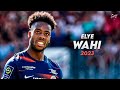 Elye wahi 202223  amazing skills assists  goals  montpellier 