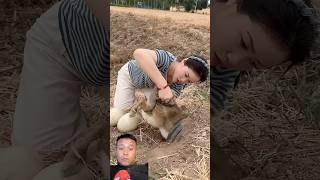 #bunny #fishing #nest #movie #cooking #film #noodles #animals #duet #birds #wildlife #fish