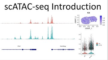 Introduction to single cell ATAC data analysis in R