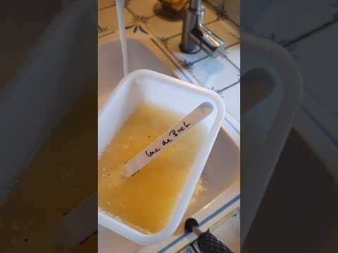 Vidéo : Regardez ici