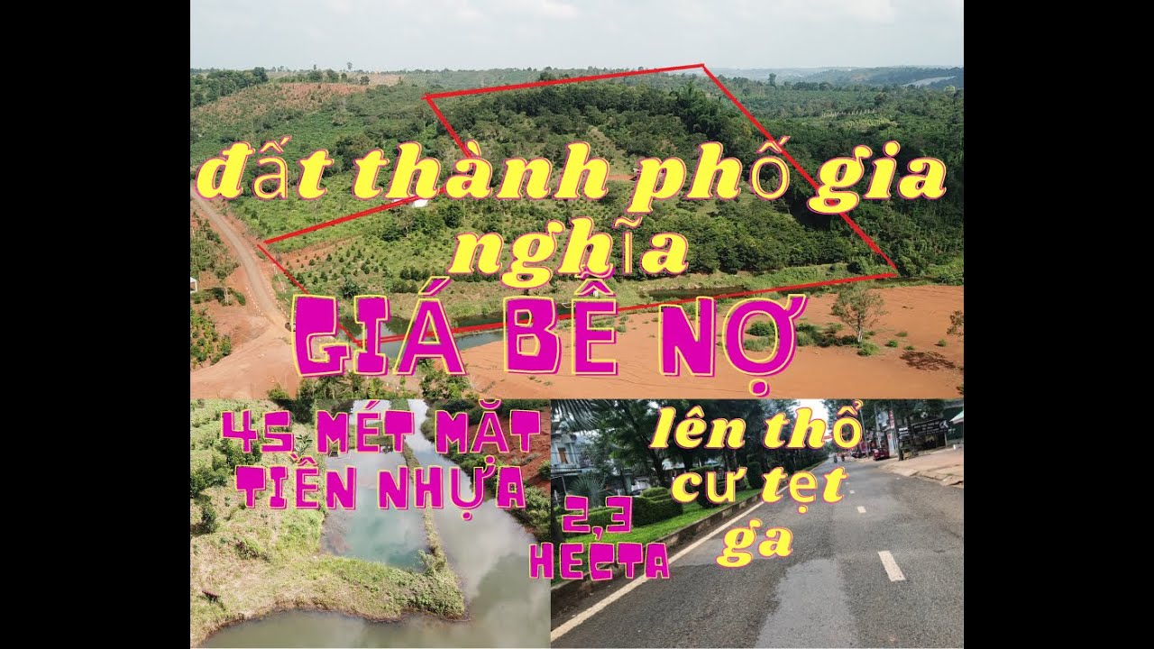 2,3 hecta diện tích sổ 2hecta 45 mét đường nhựa THÀNH PHỐ GIA NGHĨA giá ...