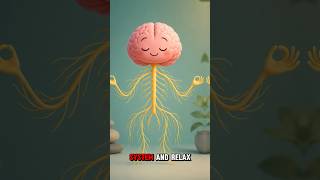 Do This for 60 Seconds to Stop Anxiety Instantly