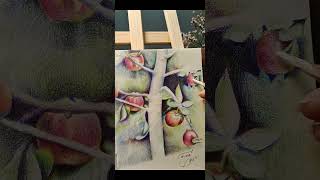 Pokok Epal _ #art #drawing #artist #apple #isaacnewton #colorpencil #colorpencildrawing