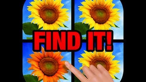 Odd 1 Out! - Level 1 Answers