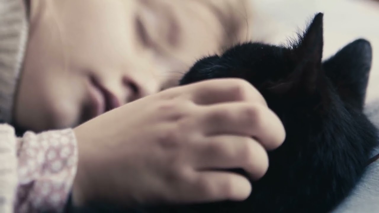 Deep Sleep Lullaby  Baby & Black Cat sleeping