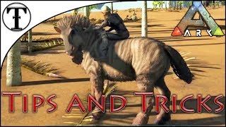 Fast Equus Horse Taming Guide Ark Survival Evolved Tips And Tricks