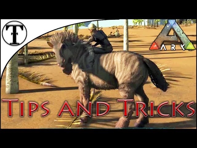 Ark Survival Evolved エクウスを飼いならす方法