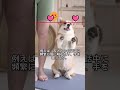 女性の雑学 #雑学 #女性 #女心 #理解