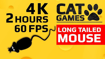 CAT GAMES - 🐭 LONG TAILED MOUSE (ENTERTAINMENT VIDEO FOR CATS TO WATCH) 4K 60FPS 2 HOURS
