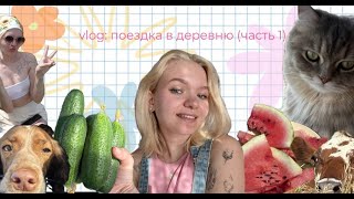 видео: влог | приключения в деревне (часть 1) картинка: влог | приключения в деревне (часть 1)
