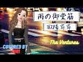 雨の御堂筋【欧陽菲菲】昭和ソング*ザ・ベンチャーズ Cover 樹里