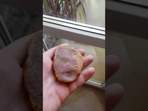 Янтарь с рисунком