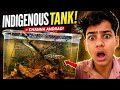 “मेरे टैंक में आया MONSTER 😱 | Dangerous Channa Fish” 🔥#snakehead #fish #monster #viralvideo
