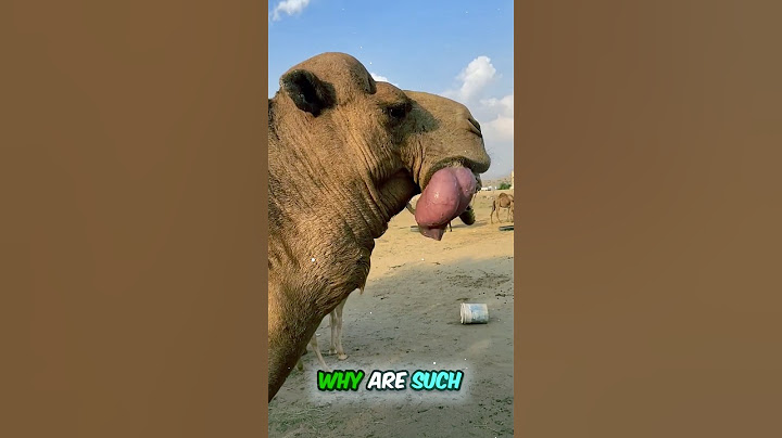 😱 OMG! A Horse’s Kidney Came Out of Its Mouth? 🤯 The Truth Will Shock You! #shorts