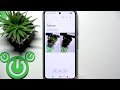 How to Share Google Photos Album
