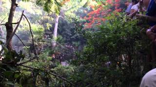 IMG 36541