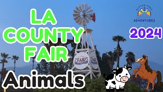 LA County Fair 2024 Farm Animals Petting Zoo and Gardens Full Tour