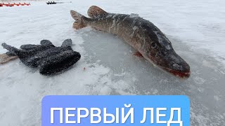 ПЕРВЫЙ ЛЕД/ Открыли сезон/ Жор щуки