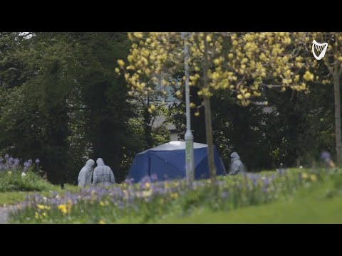 VIDEO: Young man (18) killed in stabbing incident in south Dublin