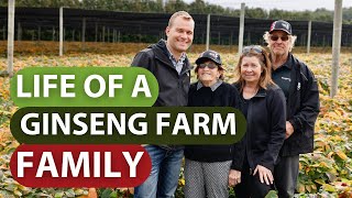 Life of a Ginseng Farm Family