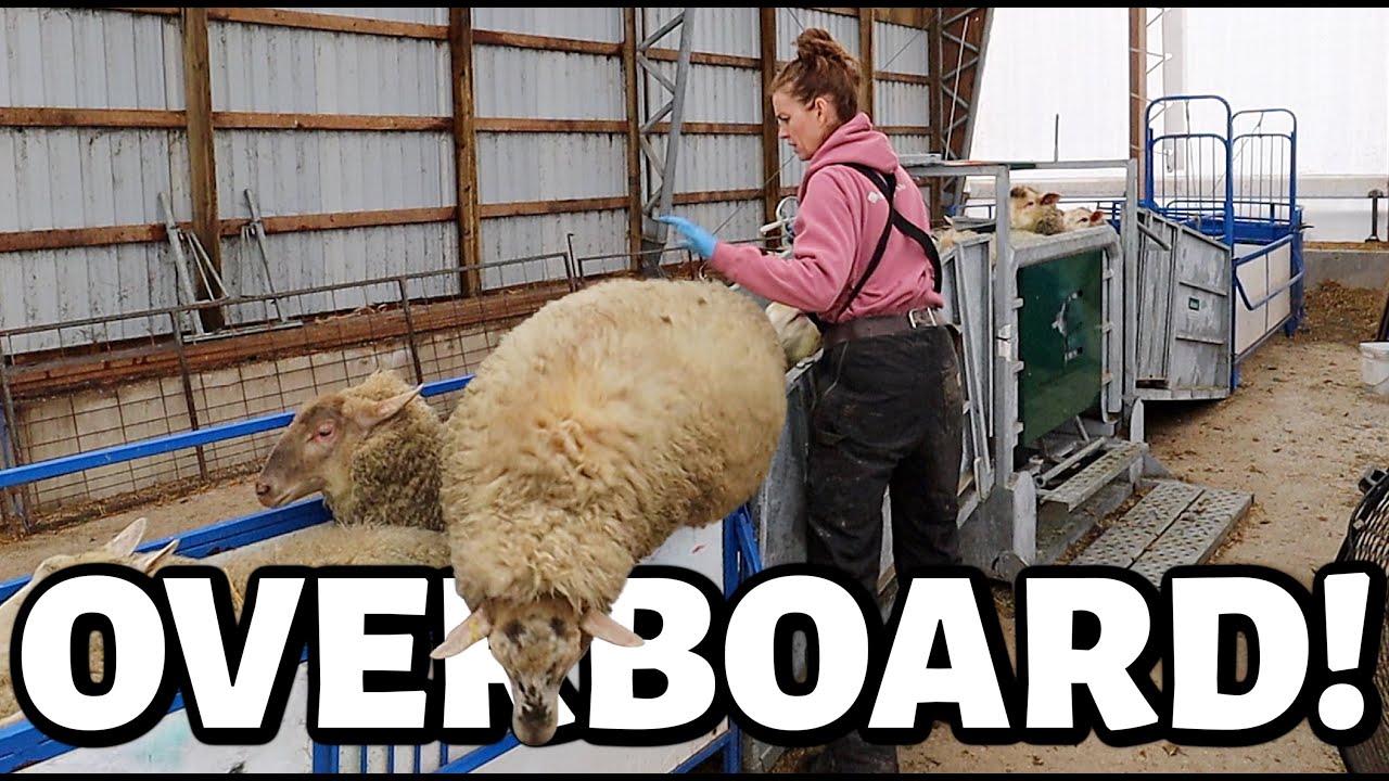 MAMA OVERBOARD!! 😱| well... that was awkward. 😳| Vlog 537