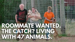 Would You Move In? 3 Humans, 47 Animals, and One Empty Room