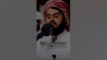 رعد الكردي سورة المائدة #سورة_المائدة #رعد_الكردي