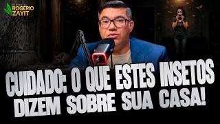FORMIGAS, RATOS E INSETOS EM CASA: O QUE ISSO SIGNIFICA NO MUNDO ESPIRITUAL?