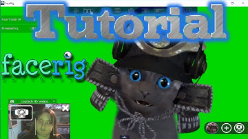 🎭 How To Use Facerig (Tutorial) 🎭