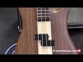 Snamm 17  spector basses euro 4le 1977 dmo