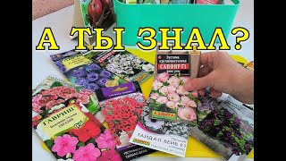 ЦВЕТЫ - 2024🌻🌻🌻: ПЛАН ПОСЕВА на рассаду (что, когда и как)