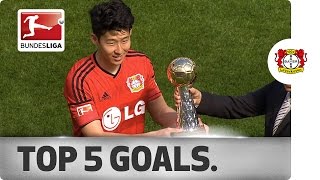 Heung-Min Son – Top 5 Goals 2014/15