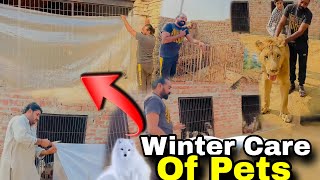 Winter Pet Care: How to Keep Lion , Monkey , Dogs & Cats Warm in Cold Weather | Animal Lover