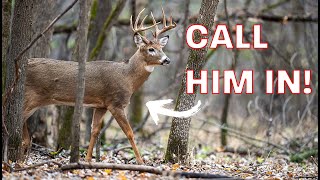 Make A BUCK Come To YOU! | WHEN TO CALL TO A DEER