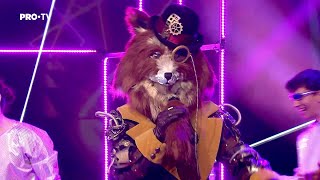 Masked Singer România: Vulpoiul a atins cele mai înalte note pe melodia “Loco Contigo” Resimi