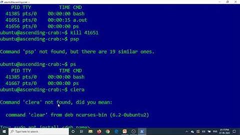 Operating System - Linux Orphan and Zombie Processes Code Demo